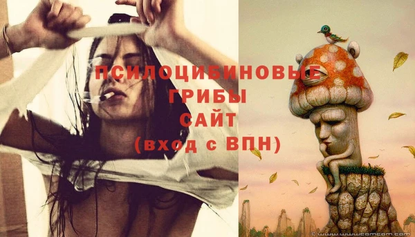 ешки Горнозаводск