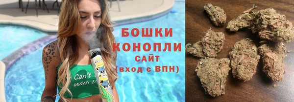 гидропоника Горняк